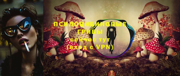 спиды Покровск