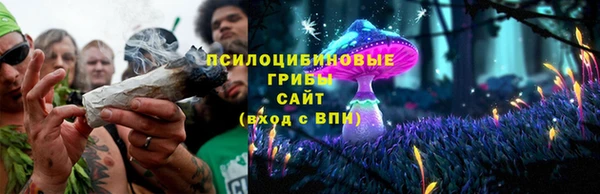 спиды Покровск