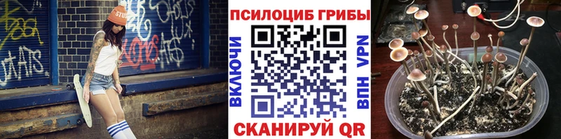 Галлюциногенные грибы Psilocybe  Тырныауз 