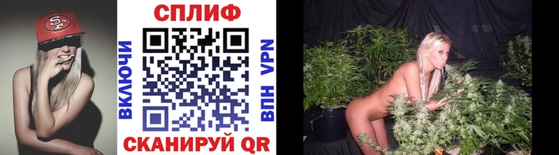 купить наркоту Тырныауз Каннабис сатива